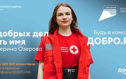 Волонтеры